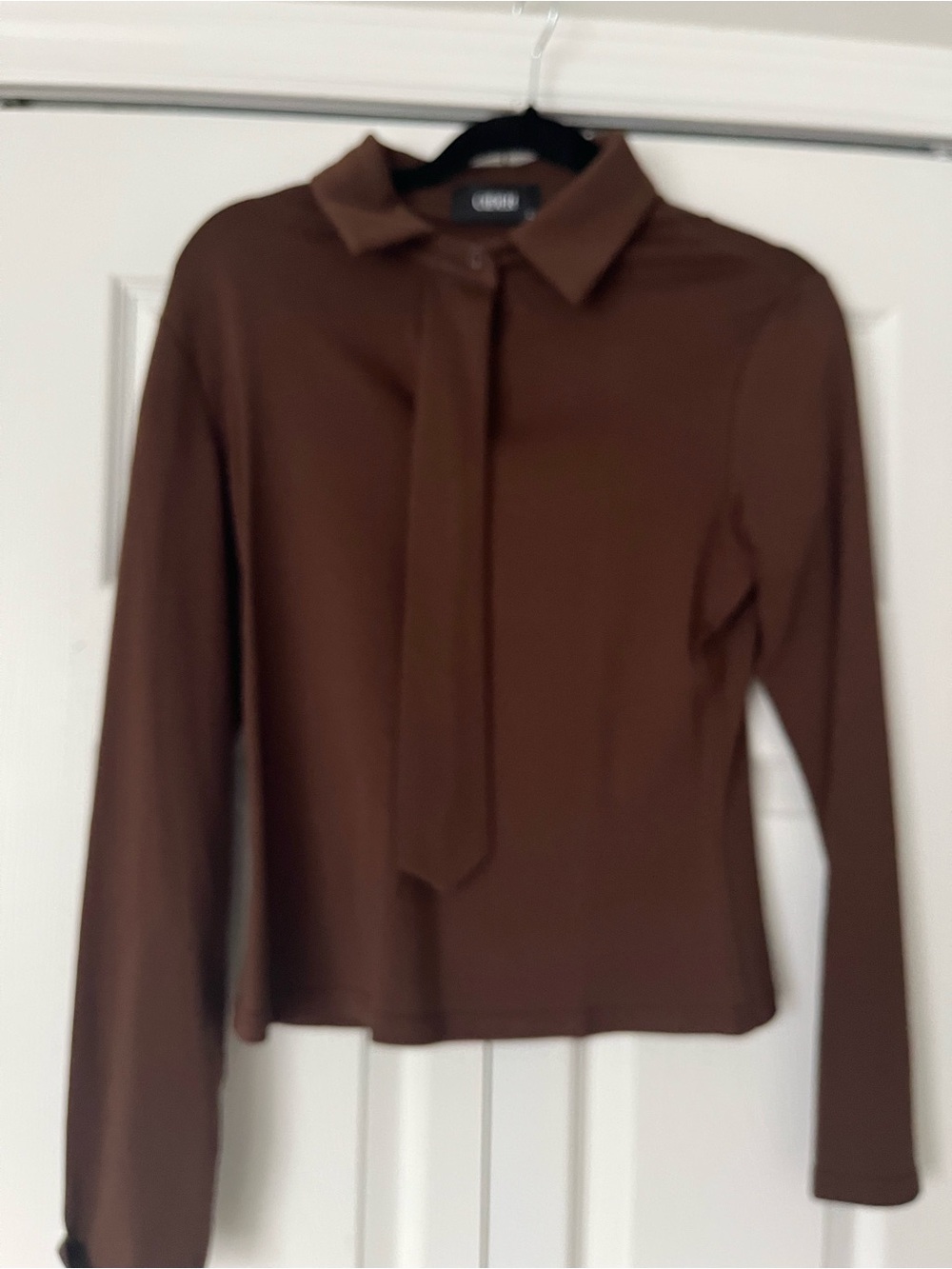 Cider Brown Long-Sleeve Tie-Neck Blouse